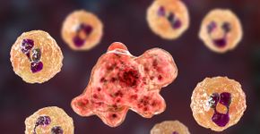 Foto: (Dr_Microbe/istock)