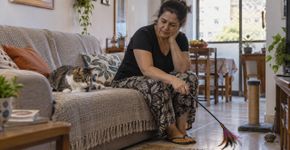 O gato que para de brincar não necessariamente ficou preguiçoso e essa mudança merece mais atenção do que parece