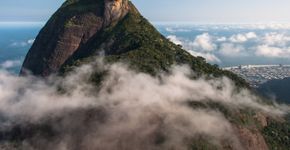 Foto: (Istock/dabldy)