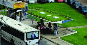 Salvador instala ponto de ônibus sustentável com vegetação no teto