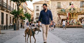 A Lei de Bem-Estar Animal já está em vigor: ela proíbe que donos de cães e gatos permitam que seus animais de estimação participem dessas atividades