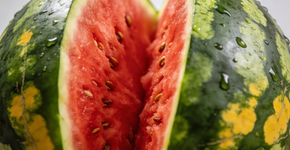 A fruta conhecida como o hidratante natural mais doce e refrescante que a terra já produziu