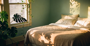 A cor de parede que acalma seu estresse assim que você chega em casa