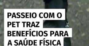 Passeio com o pet traz benefícios para a saúde física do animal e do tutor