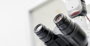 Cientistas estão chocados com criatura que sobrevive sem oxigênio