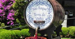Rota do Vinho: faça um bate-volta com degustações em São Roque