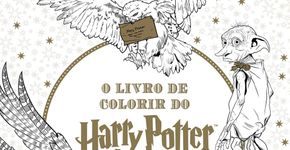 Primeiro livro para colorir do Harry Potter chega em fevereiro ao Brasil