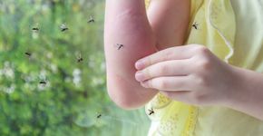Foto: (Kwangmoozaa/iStock)