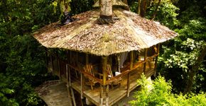 Uma comunidade sustentável de casas na árvore na Costa Rica