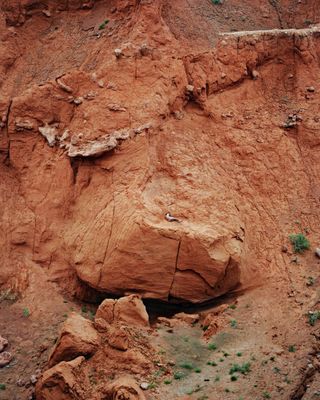 Os voluntários posaram em paisagens naturais exuberantes (Foto: Ruben Brulat)