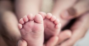 Foto: (Simon Dannhauer/iStock)