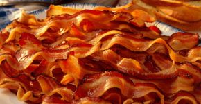 Festival do Bacon chega ao Memorial da América Latina