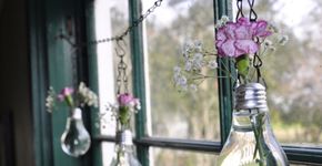 Confira 5 passos para transformar uma lâmpada em vaso