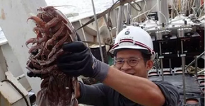 Foto: (LIPI)