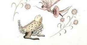 Vida e obra da artista Gerda Brentani em exposição na Caixa Cultural