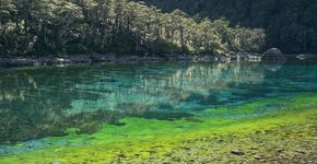 Lago da Nova Zelândia é considerado o mais cristalino do mundo
