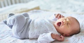 Foto: (encrier/istock)