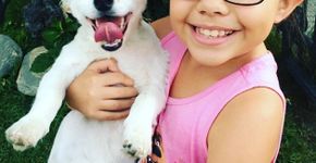 Menina ensina língua dos sinais para seu cãozinho surdo