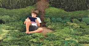 Designer argentina cria tapetes inspirados em paisagens da natureza
