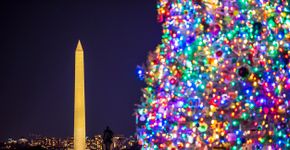 Foto: (Earth Trotter Photos/iStock)