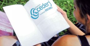 Foto: (Divulgação)