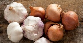 Foto: (budgetstockphoto/istock)
