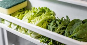O macete da esponja na geladeira faz as verduras durarem semanas