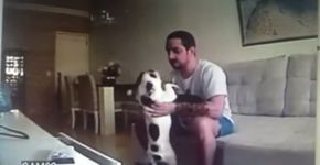 Com câmera escondida, mulher flagra noivo agredindo seus cães
