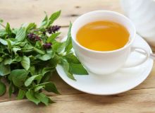 Featured side: Para que serve o chá de manjericão? Veja 5 receitas e os seus benefícios