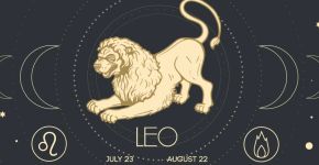 Signo de Leão: conheça 6 profissões que combinam com o perfil do leonino