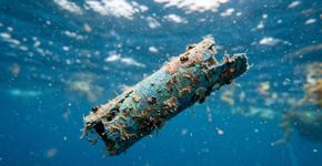 Descoberta colossal contra as mudanças climáticas: as bactérias marinhas conseguem se unir para decompor plásticos
