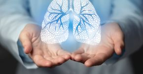 Foto: (iSTock/mi-viri)