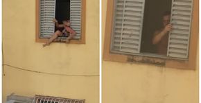 Foto: (Reprodução)