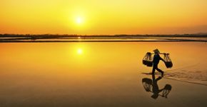 Foto: (VuCongDanh/iStock)