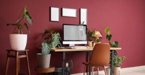 Seu ambiente de trabalho está alinhado ao Feng Shui para gerar resultados?