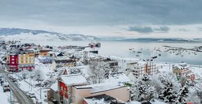 Foto: (gussush/iStock)