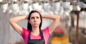 Foto: (Istock/nicoletaionescu)