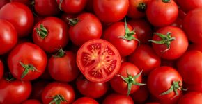 Foto: (iStock/Serhii Khrystenko)