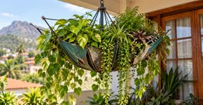 Não jogue fora os guarda-chuvas quebrados, você tem um item muito importante em casa: 3 ideias de faça você mesmo para reaproveitá-los e decorar seu lar