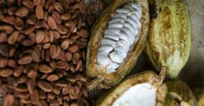 Chocolate mexicano: história e receita para adoçar a Páscoa