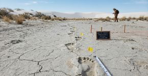 Pegadas preservadas no deserto trouxeram uma pergunta incômoda: há quanto tempo os humanos já estavam nas Américas?