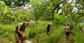 App reúne ecovilas e projetos de permacultura pelo Brasil