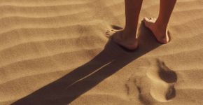 Foto: (Foto: Luis Ruiz/Pexels)