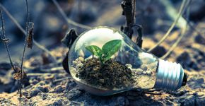Foto: (Singkham/Pexels)
