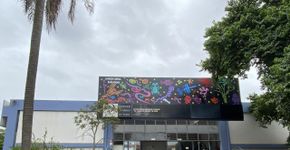 Foto: (Divulgação)