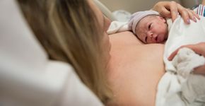 Foto: (vernonwiley/istock)