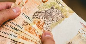 Foto: (Rmcarvalho/iStock)