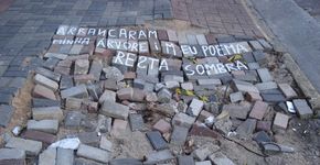 Poesia na calçada para protestar contra retirada de árvore