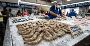 Camarão fresco ou camarão congelado: qual a diferença e qual é melhor comprar