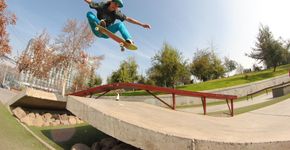 Conheça a marca que faz skates só para mulheres